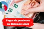 Pagos de pensiones en diciembre 2025: guía rápida para saber si cobras
